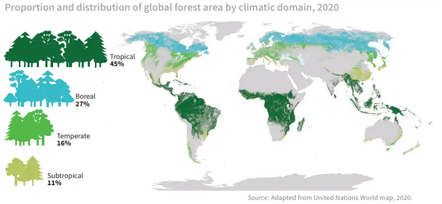 Global-Forest-Coverage-internal-img2