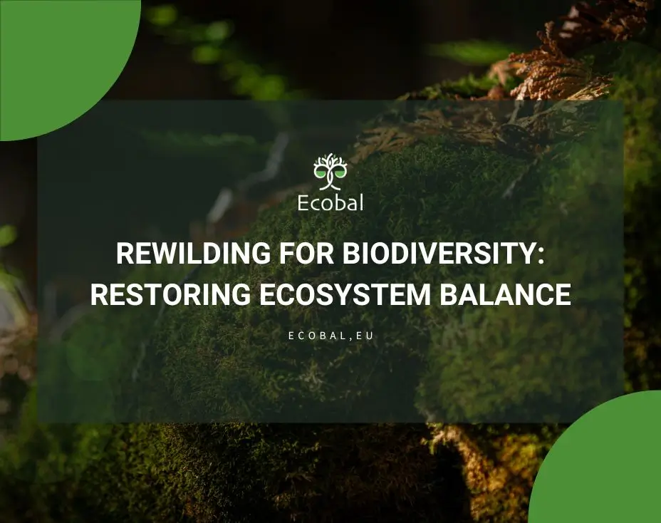 rewilding-biodiversity-restoration-blog-featured-img